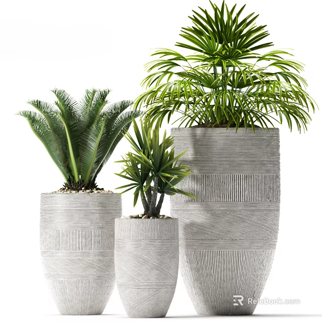 Three Different Sizes Green Leafy Bonsai Potted Plants In Textured Gray Pots 3d model 