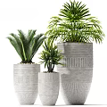 Three Different Sizes Green Leafy Bonsai Potted Plants In Textured Gray Pots