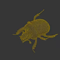 Purple Beetle With Shiny Exoskeleton Long Legs And Antennae On Dark Background