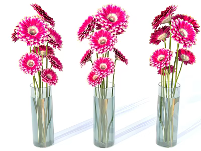 Desktop Plant Flowers Gerbera 3d model