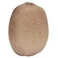 Fresh Ripe Kiwi Fruits With Brown Fuzzy Skin On White Background
