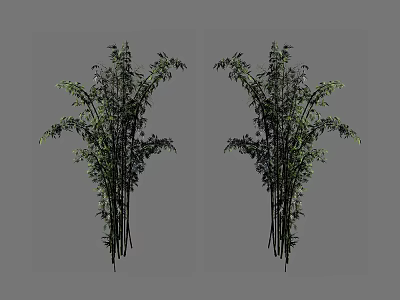 Detailed Symmetrical Bamboo 3D Models With Green Leaves And Black Stems 3d model