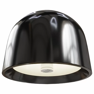 Modern Black Glossy Metal Hemispherical Ceiling Light Fixture with Sleek White Inner 3d model
