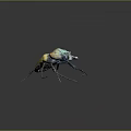 Vibrant Green Blue Golden Metallic Textured Beetle With Long Antennae And Legs