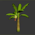 3D Rendered Banana Plant With Green Leaves Yellow Trunk And Small Red Fruit