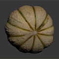 Fresh Ripe Cantaloupe Melon With Yellow Green Stripes And Smooth Surface On Dark Background