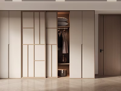 Modern Wardrobe Interior Design With Sliding Doors Clothing Hangers And Storage Box 3d model