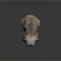 Shih Tzu Statue Sitting With Red Bow Tie On Smooth Surface And Dark Background