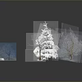 Snow Covered Trees Including Evergreen And Deciduous With Snow Piles And Reflection 3d model