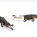 Two Aquatic Animal Crocodile Models With Open Mouths On White Background