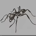 Detailed Metallic Silver Ant Model Displayed On Dark Background With Reflection