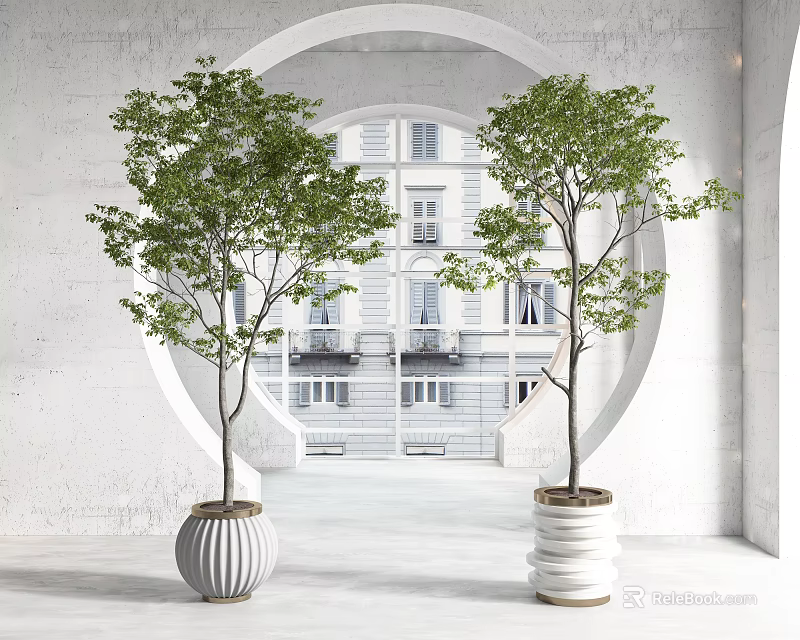Lush Green Potted Bonsai Trees in White Striped Planters with Archway and Building View 3d model 