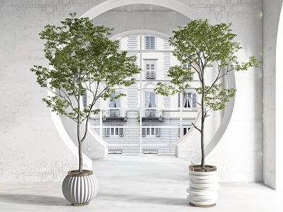 Lush Green Potted Bonsai Trees in White Striped Planters with Archway and Building View 3d model