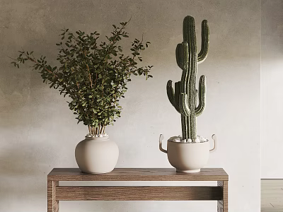 Leafy Green And Cactus Potted Plants In White Pots On Wooden Table Against Gray Wall 3d model