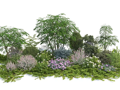 Beautiful Garden Flowers And Plants With Purple White Blooms Trees Shrubs And Vines 3d model