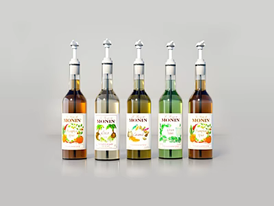 Five BONNIN Seasoning Bottles in Different Colors with Transparent Bodies and Silver Caps 3d model