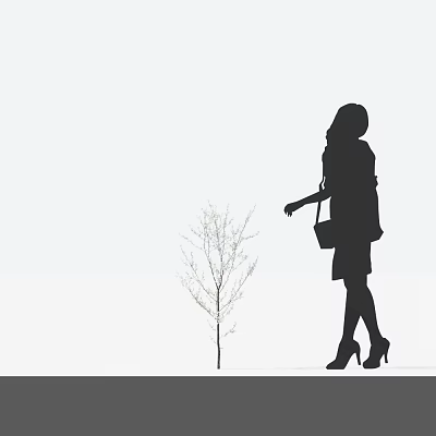 Small Tree with Bare Branches and Female Silhouette Walking Nearby on White Background 3d model