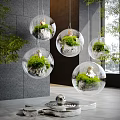 Indoor Landscape With Hanging Transparent Spherical Glass Orbs And Green Plants