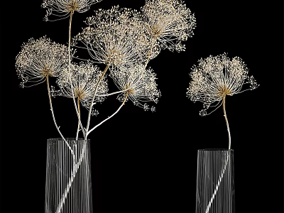 Tall Transparent Striped Vases With Delicate Feathery White Flowers Against Black Background 3d model