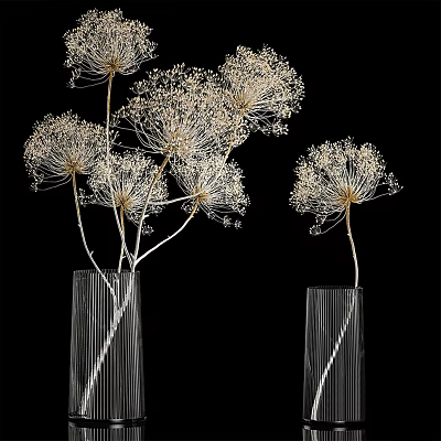 Tall Transparent Striped Vases With Delicate Feathery White Flowers Against Black Background 3d model