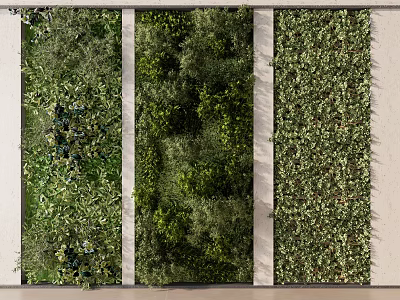 Vertical Living Plant Wall Design With Natural Greenery For Modern Home Interior 3d model