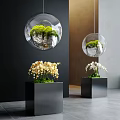 Indoor Landscape With Hanging Glass Orbs Green Plants Stones Black Square Planters Yellow White Orchids