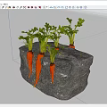 Thriving Carrots Growing in Gray Garden Mulch with Lush Green Tops