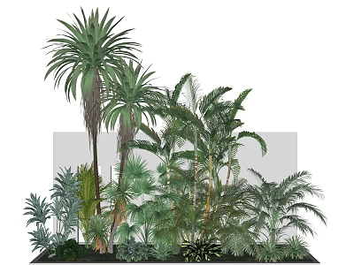 Lush Tropical Plants Garden With Various Leafy Green Foliage And Tall Palms 3d model
