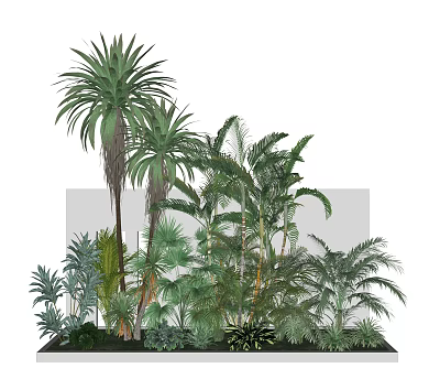 Lush Tropical Plants Garden With Various Leafy Green Foliage And Tall Palms 3d model