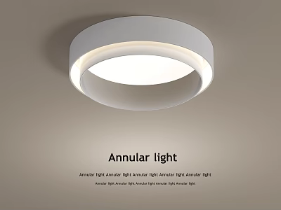 Annular LED Ceiling Light Modern Bright Style for Home Bedroom Decor 3d model