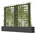 Climbing Vines Growing On Metal Grid Structure With Green Foliage In Decorative Planter Box
