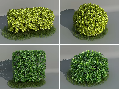 Trimmed Garden Shrubs Showcasing Round Square Shapes And Green Yellow Green Foliage 3d model