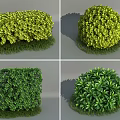 Trimmed Garden Shrubs Showcasing Round Square Shapes And Green Yellow Green Foliage