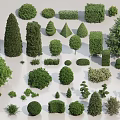Various Garden Shrubs In Different Shapes Sizes And Types For Landscaping