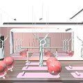Aerial Yoga Studio With Pink Exercise Balls Yoga Mats And Mirror Walls