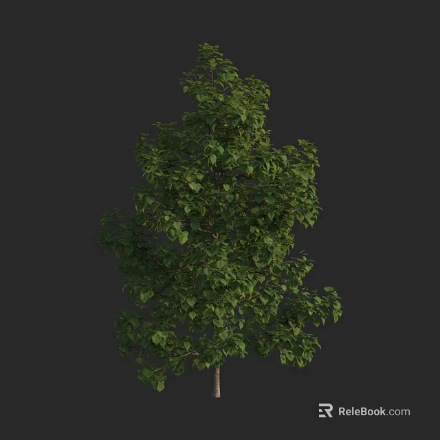 Tall Natural Arbor With Lush Green Foliage And Sturdy Trunk Structure 3d model 