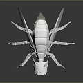 Futuristic Mechanical Insect 3D Model With Transparent Wings And Metallic Body