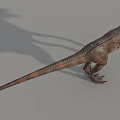 Realistic Standing Reptile Dinosaur With Brown Skin Long Tail And Sharp Claws