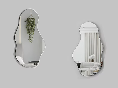 Irregular Shaped Decorative Mirrors Reflecting Indoor Plants And Living Space 3d model