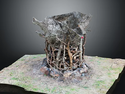 Natural Plant Structure Made of Branches and Vines on Grass with Stones Base 3d model