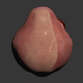 3D Rendered Human Liver Model For Medical Education And Anatomical Study