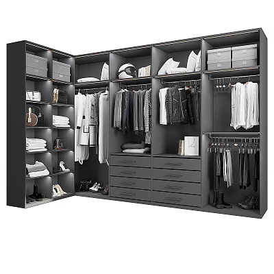 Modern Wardrobe Interior With Hanging Rods Drawers Storage Boxes And Shoes 3d model