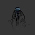 Glowing Blue Bioluminescent Jellyfish With Long Tentacles On Dark Background
