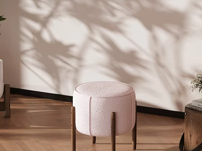 Pink Round Leisure Chair with Wooden Legs on Wooden Floor White Wall and Plant Shadows 3d model