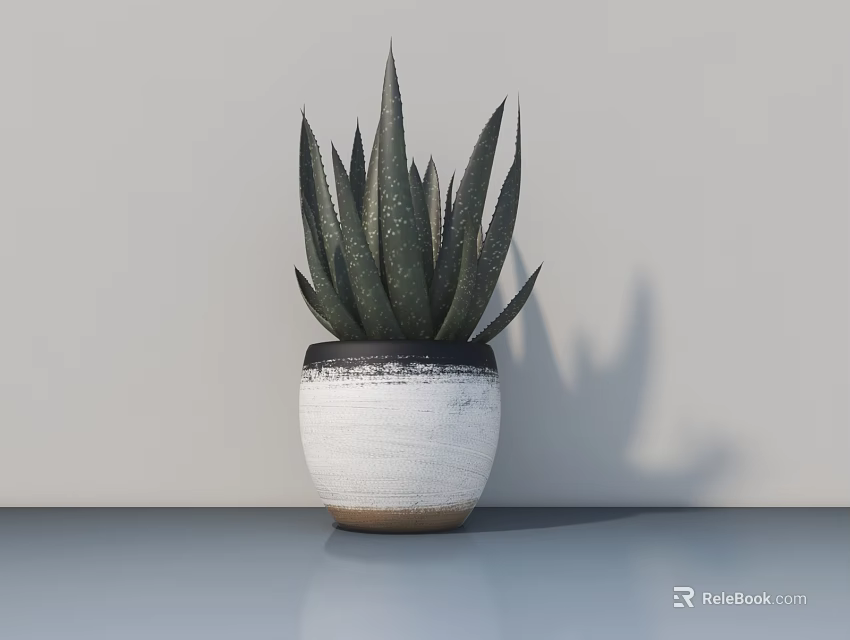 Green Spiky Leaf Bonsai Potted Plant in White Pot with Dark Rim and Brown Base 3d model 