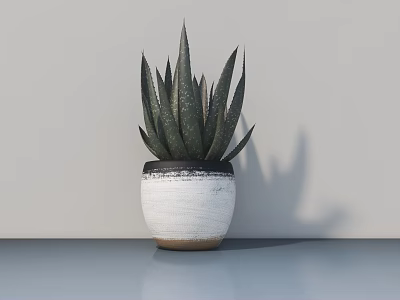 Green Spiky Leaf Bonsai Potted Plant in White Pot with Dark Rim and Brown Base 3d model