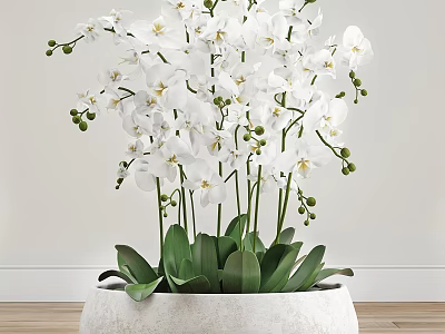Decorative Ornament Set Featuring White Orchid With Green Leaves And Flower Buds In White Pot 3d model