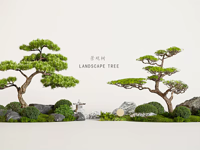 Garden Landscape Design With Pine Trees Stones And Lush Green Bushes 3d model