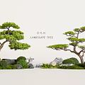 Garden Landscape Design With Pine Trees Stones And Lush Green Bushes