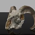 Sheep Skull With Curved Horns And Detailed Bone Structure On Black Background